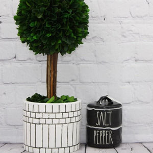 Rae Dunn Salt and Pepper Cellar